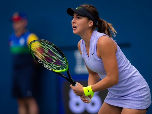 增添了一点 增添了一点