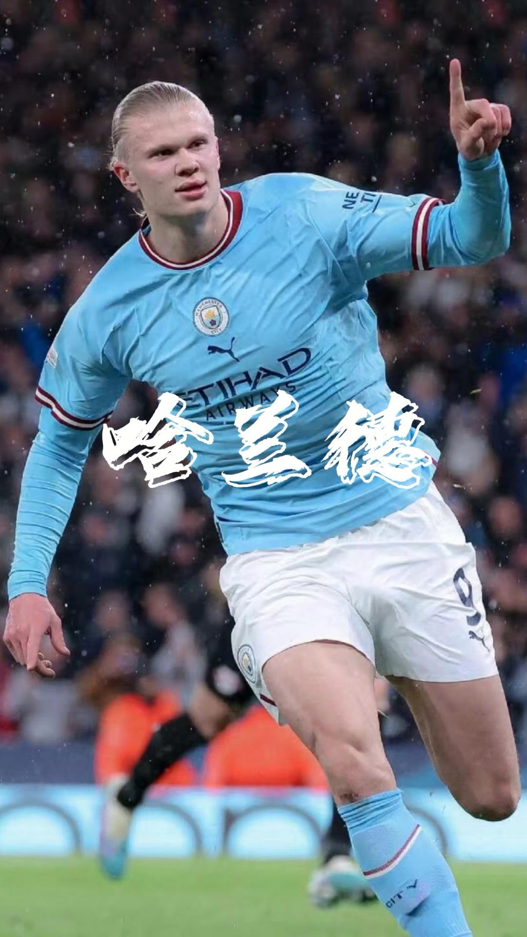 高占比并非 高占比并非